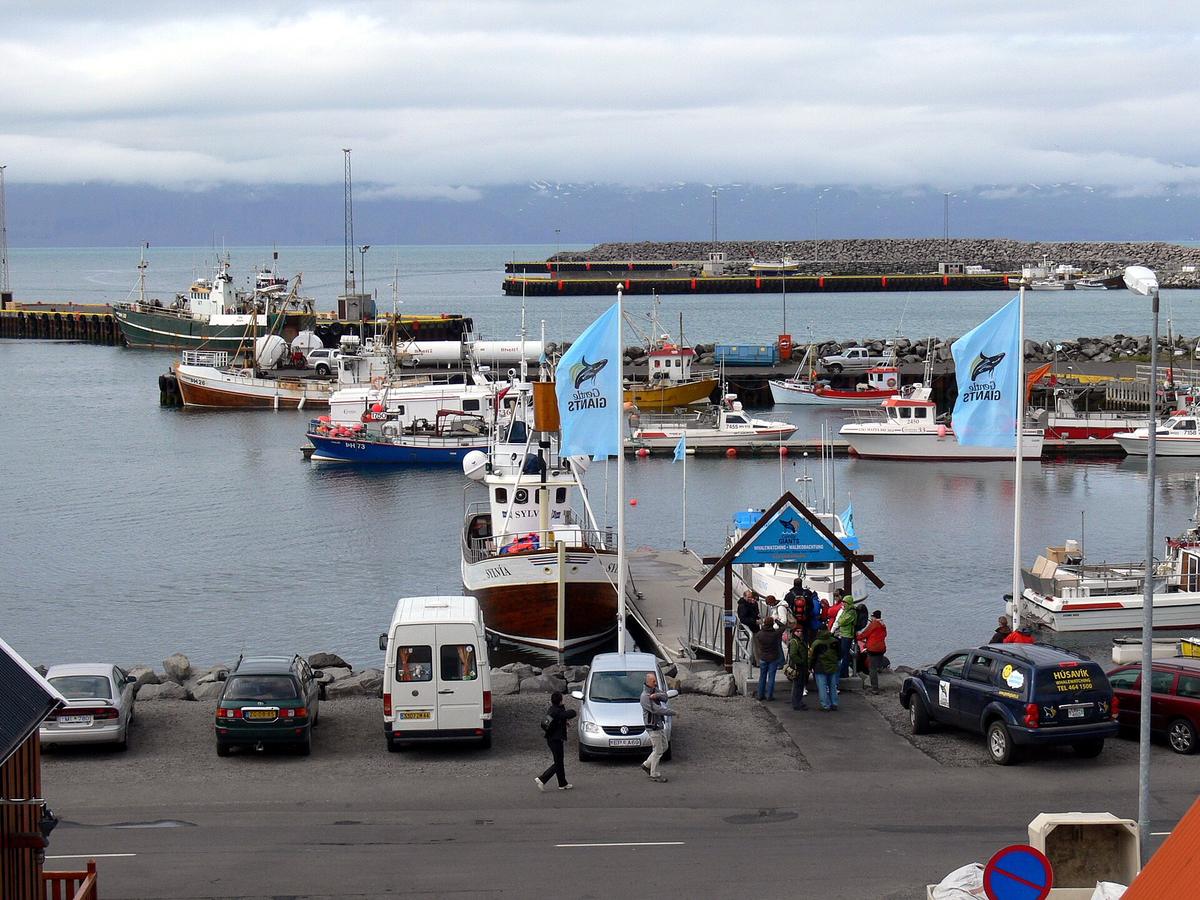 Husavik whale watching boat Iceland