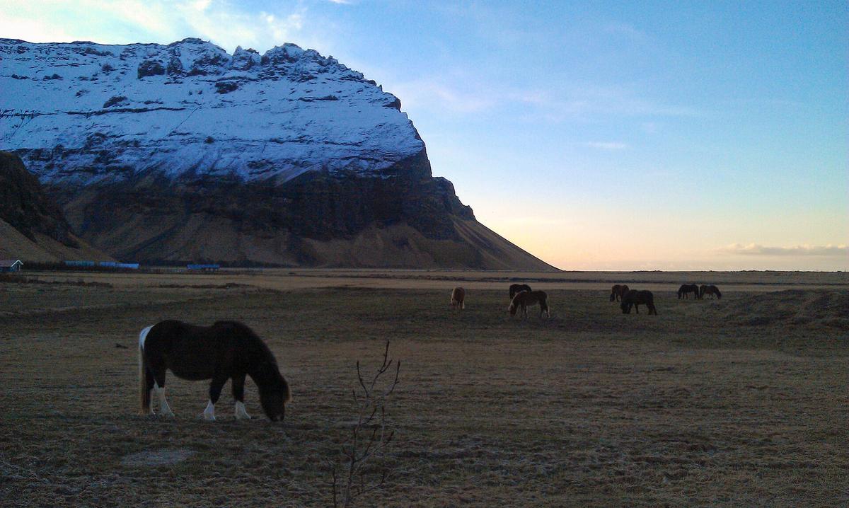 Iceland farm stay countryside