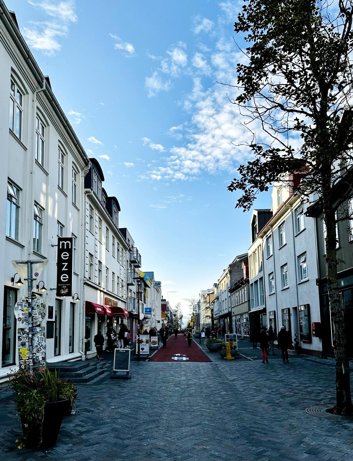 Reykjavik shop card payment