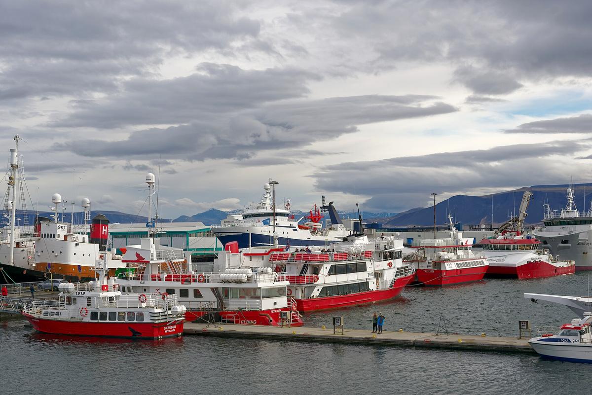 Hofn Iceland harbour glacier